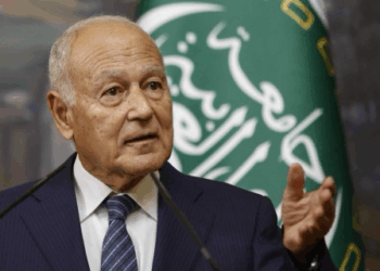 مصر: استعداد عربي للتوافق على تواجد بقوات دولية في غزة .. ولن نكون بوابة لتهجير الفلسطينيين ولن نغير هذا الموقف