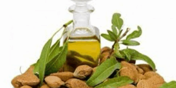 زيت اللوز الحلو.. سرّ الشعر الصحي واللامع