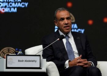 وزير الخارجية المصري يرحب بـ”جهود” ترامب لوقف الحرب في غزة” ويدعو لأفق سياسي يستند لحل الدولتين