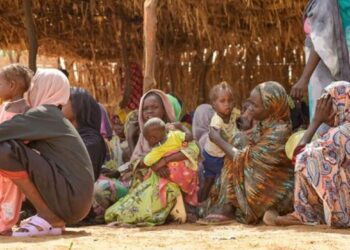 الأمم المتحدة: “الدعم السريع” تستخدم تجويع الفاشر كسلاح حرب