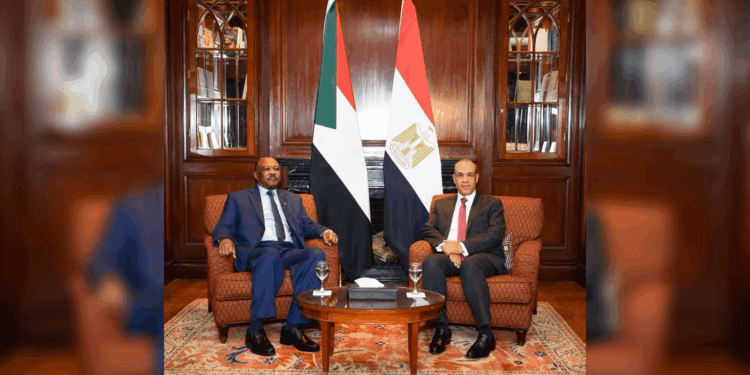 وزير الخارجية المصري: نتحرك بفاعلية لإقرار هدنة إنسانية عاجلة بالسودان