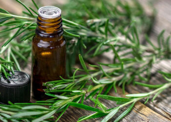 إكليل الجبل يعزز شفاء الجلد دون ندوب.. دراسة تكشف السر الطبيعي