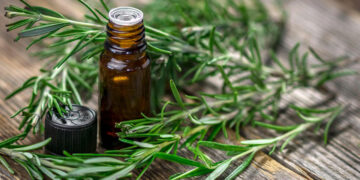 إكليل الجبل يعزز شفاء الجلد دون ندوب.. دراسة تكشف السر الطبيعي