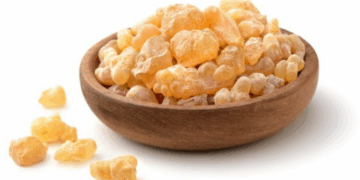 اللبان الذكر قبل النوم .. فوائد صحية لجسمك ونصائح للاستعمال