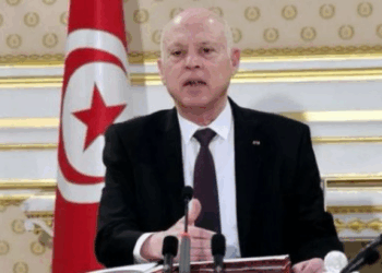 قيس سعيّد: إدراج قضايا تونسية بالبرلمان الأوروبي “تدخل سافر في السيادة الوطنية ”