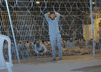 فلسطين تطالب بتحرك دولي لوقف جرائم إسرائيل بحق الأسرى