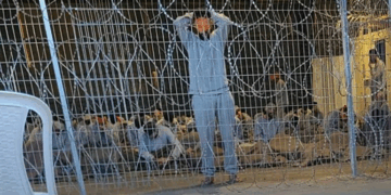 فلسطين تطالب بتحرك دولي لوقف جرائم إسرائيل بحق الأسرى