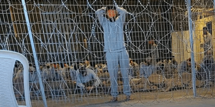 فلسطين تطالب بتحرك دولي لوقف جرائم إسرائيل بحق الأسرى