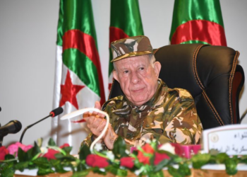 الدفاع الجزائرية: لا مرتزقة لنا بالساحل الأفريقي وهذه افتراءات سيئة الإخراج