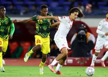 تونس تستعين بمدرب محلي لقيادة المنتخب في كأس العالم