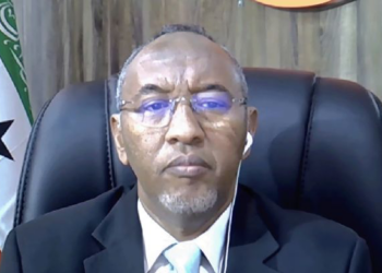 مسؤول كبير بـ”أرض الصومال” يكشف الأسباب الحقيقية للتطبيع مع إسرائيل