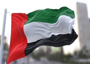 الإمارات تعلن إحباط هجمات سيبرانية “ذات طابع إرهابي”