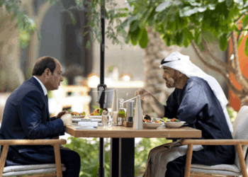 محمد بن زايد والسيسي يبحثان علاقات البلدين وتطورات المنطقة