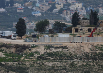 8 دول عربية وإسلامية تدين القرارات الإسرائيلية الرامية لضم الضفة