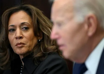 تقرير سري يكشف عن سبب رئيسي وراء هزيمة هاريس في الانتخابات الأمريكية لعام 2024