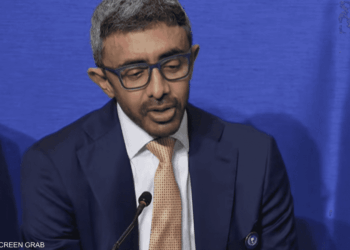 مجلس السلام.. الإمارات تقدم 1.2 مليار دولار لدعم غزة