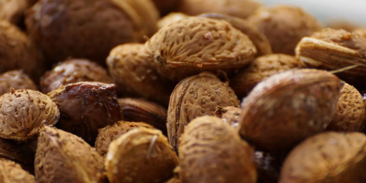 فوائد تناول اللوز بشكل يومي