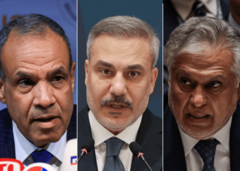 مصر وتركيا وباكستان تبحث “سيناريوهات التهدئة” في المنطقة