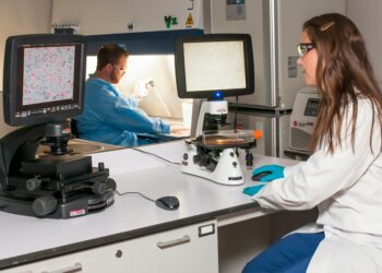 أمل لمرضى السرطان.. ابتكار بكتيريا ذكية تلتهم الورم