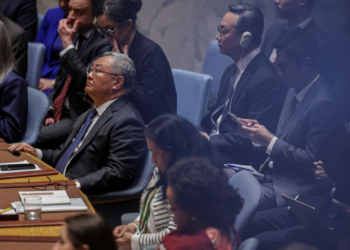 صحيفة صينية: لهذا استخدمت بكين الفيتو بشأن مضيق هرمز