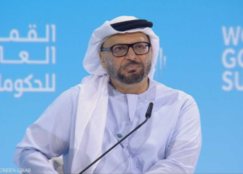أنور قرقاش: نثمن التضامن الخليجي والعربي والدولي مع الإمارات