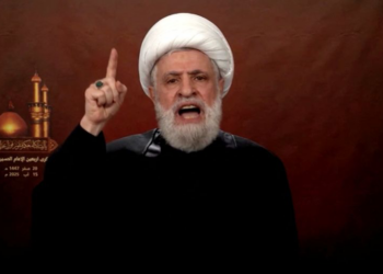 نعيم قاسم: لن نخضع أو نستسلم وسنواصل قتال إسرائيل