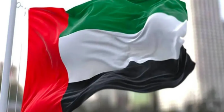 الإمارات: جهودنا في المنطقة تركز على خفض التصعيد وتعزيز الاستقرار
