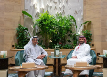 منصور بن زايد وولي عهد السعودية يبحثان العلاقات الأخوية