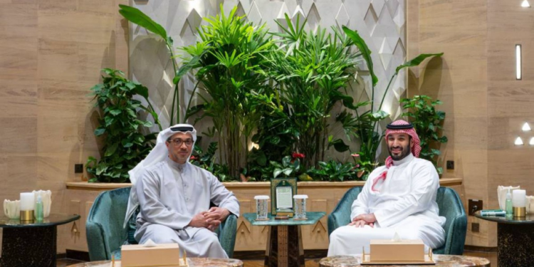 منصور بن زايد وولي عهد السعودية يبحثان العلاقات الأخوية