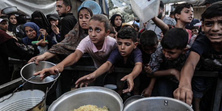 غزة أمام شبح مجاعة جديدة.. الأغذية العالمي يقلص مساعداته إلى القطاع