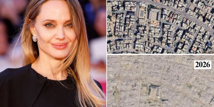 أكاديمية غزة للسينما تشيد بأنجلينا جولي.. خلف صور الدمار حكايات بشر